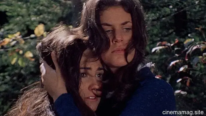 12 Fantastic Sleazy Films