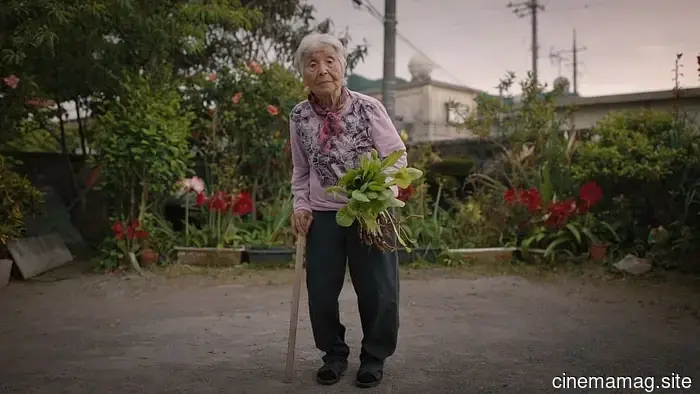 4 Unexpectedly Simple Methods for a Longer Life, Based on Netflix's Secrets of the Blue Zones