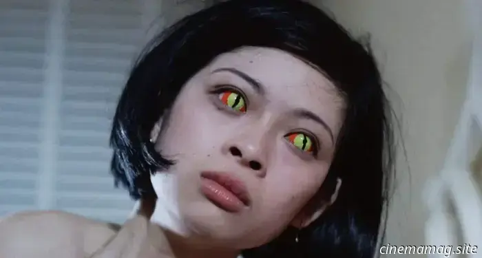 Recensione Blu-ray – Shawscope Vol. 4