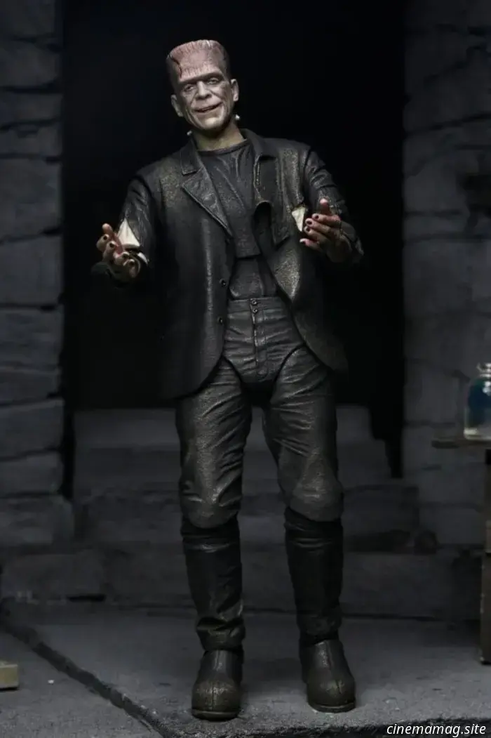 NECA's The Monster and His Mate 2-pack commemorates the 90th anniversary of The Bride of Frankenstein.