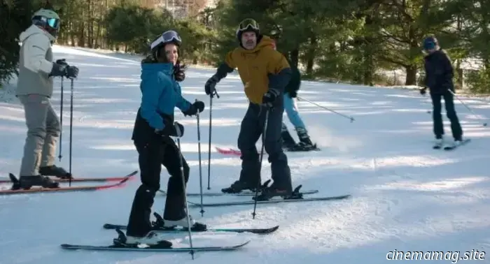 Netflix has released a trailer for The Four Seasons, featuring Tina Fey, Steve Carell, Will Forte, and Colman Domingo.