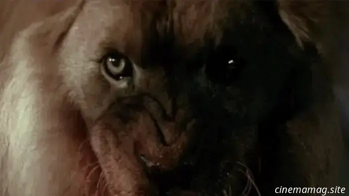 13 смертоносных фильмов о животных, в которых использовали настоящих живых животных