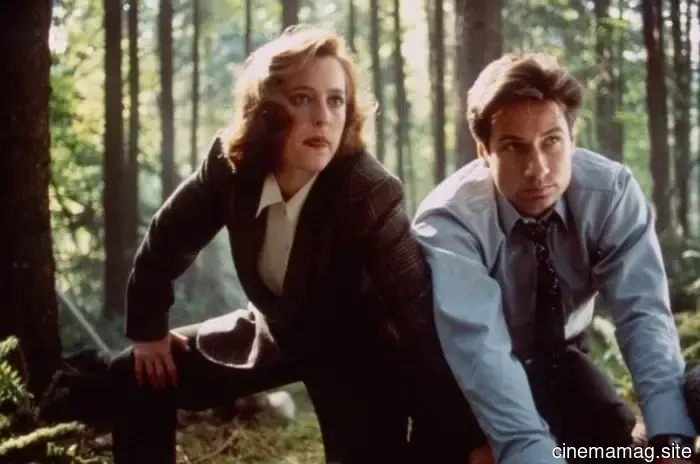 The TV Shows That Took Risks with Complexity Before It Was Accepted