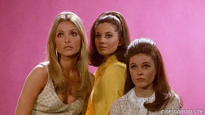 11 Icons of the 1960s Who Are Still Thriving Today