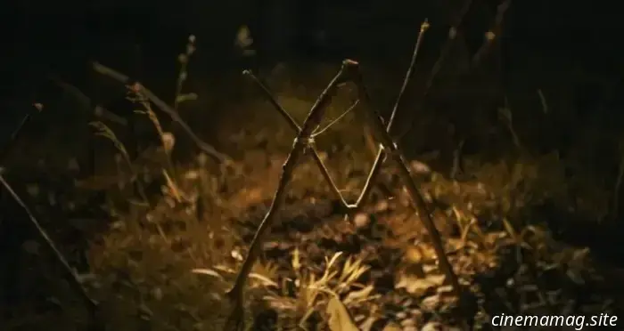 The final trailer for the supernatural horror film Shelby Oaks has been released.