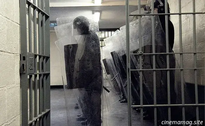 The 12 Greatest Movies Set in Ireland That We've Ever Watched