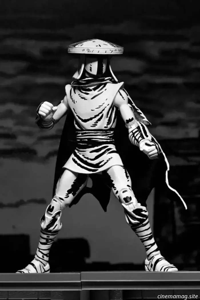 NECA presenta le nuove action figure Teenage Mutant Ninja Turtles Mirage Studios Black & White variant
