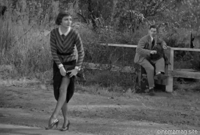 12 Must-See Road Trip Films