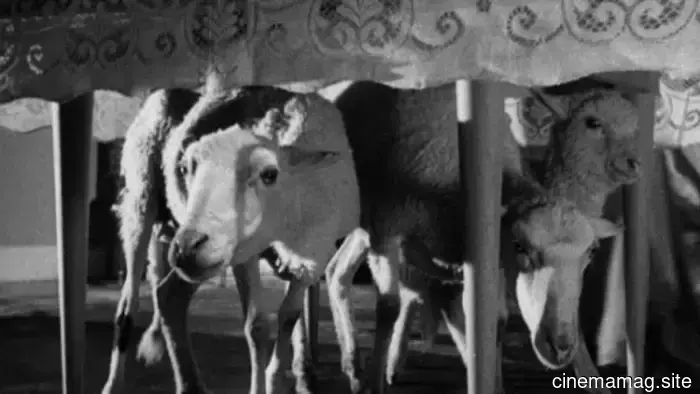10 Must-See Movies About Dinner Party Disasters