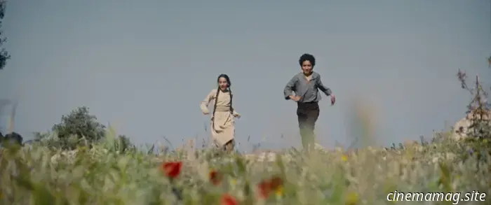 Lucia Senesi’s Ten Best Films of 2025