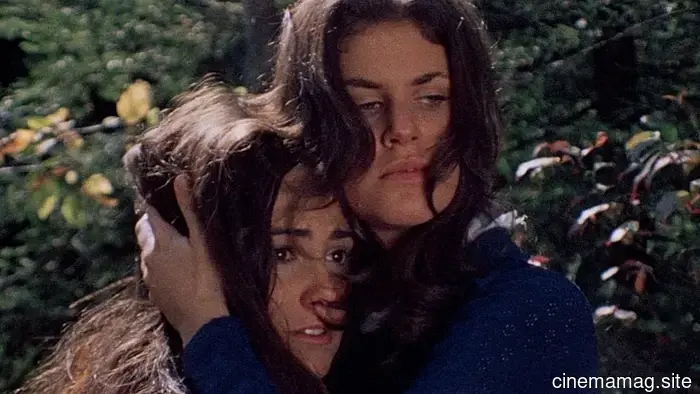 12 Disreputable '70s Films That Have No Regard for Your Respect