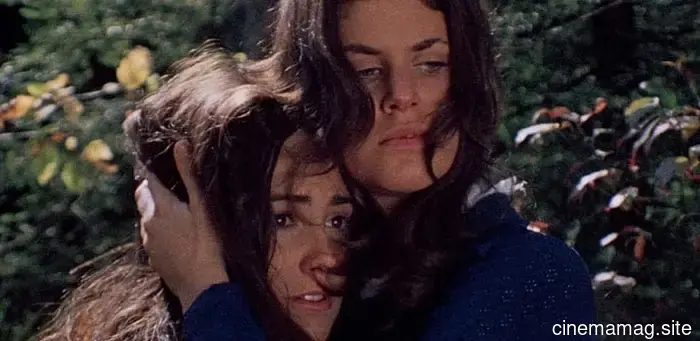 7 Films So Remarkable That We Won't Rewatch Them