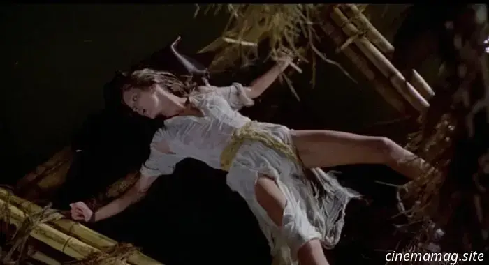 13 смертоносных фильмов о животных, в которых использовали настоящих живых животных