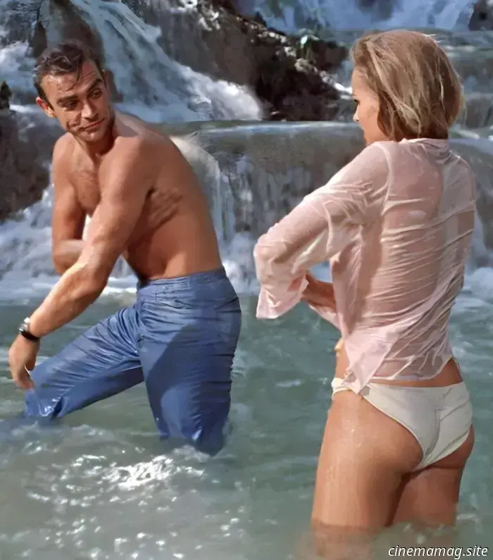 Le 17 coppie più convincenti della storia del cinema