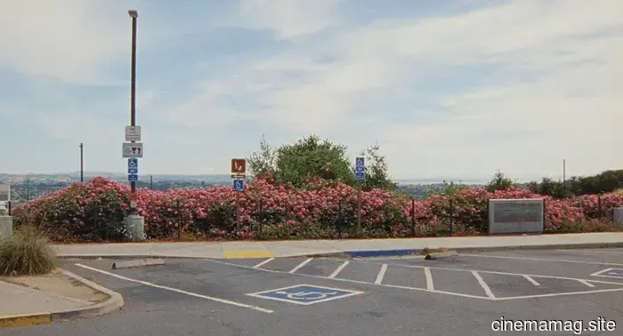 The Top 13 Ranked Movies About Serial Killers