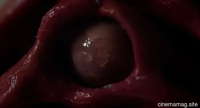 El 'Hombre comiendo pussy' de Emily Lawson desafía las visiones sobre el sexo, la muerte y la feminidad.