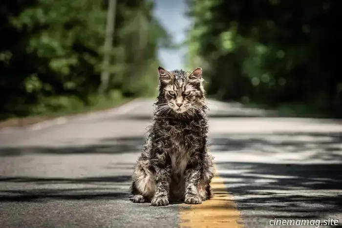 The 12 Most Awesome Cats in Films