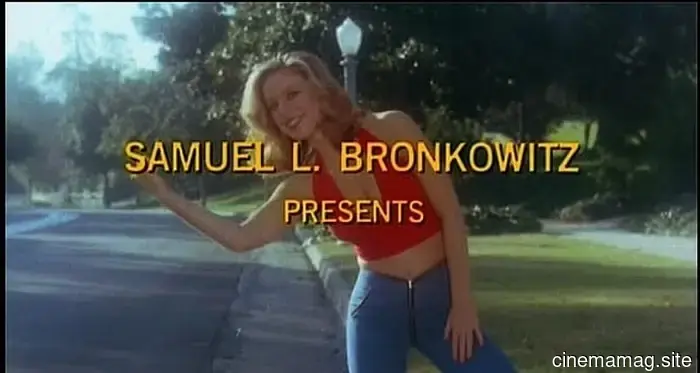 13 Movie Satire that Mimic Their Own Subjects