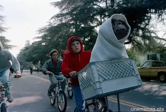 12 Películas Perfectas