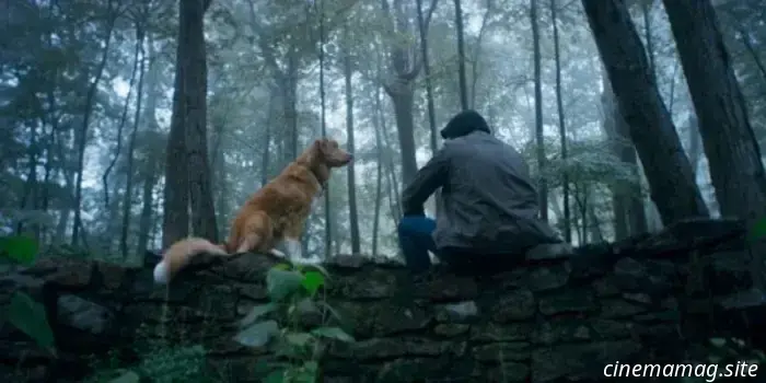 El tráiler de Good Boy sugiere terror desde la perspectiva de un perro.