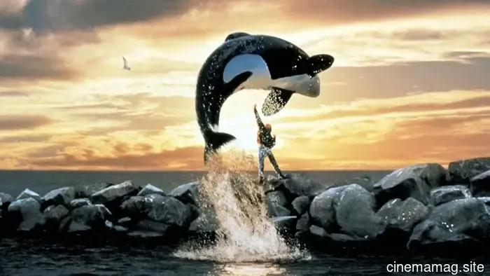 Il reboot di Free Willy emerge alla Warner Bros.