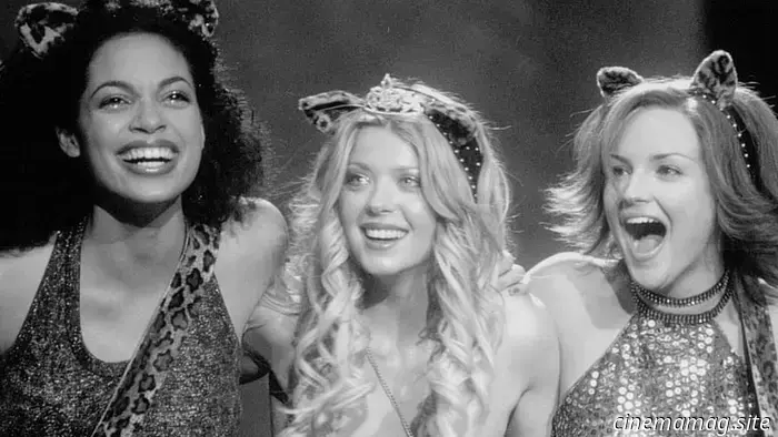 13 Awesome Movies from the 2000s That Only the Cool Kids Recall