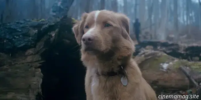 The Good Boy trailer hints at a horror story seen through the eyes of a dog.