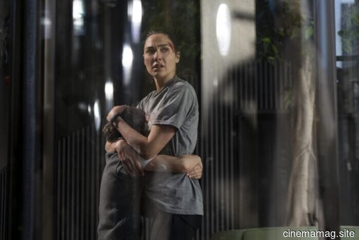Film Review – The Runner (2026)