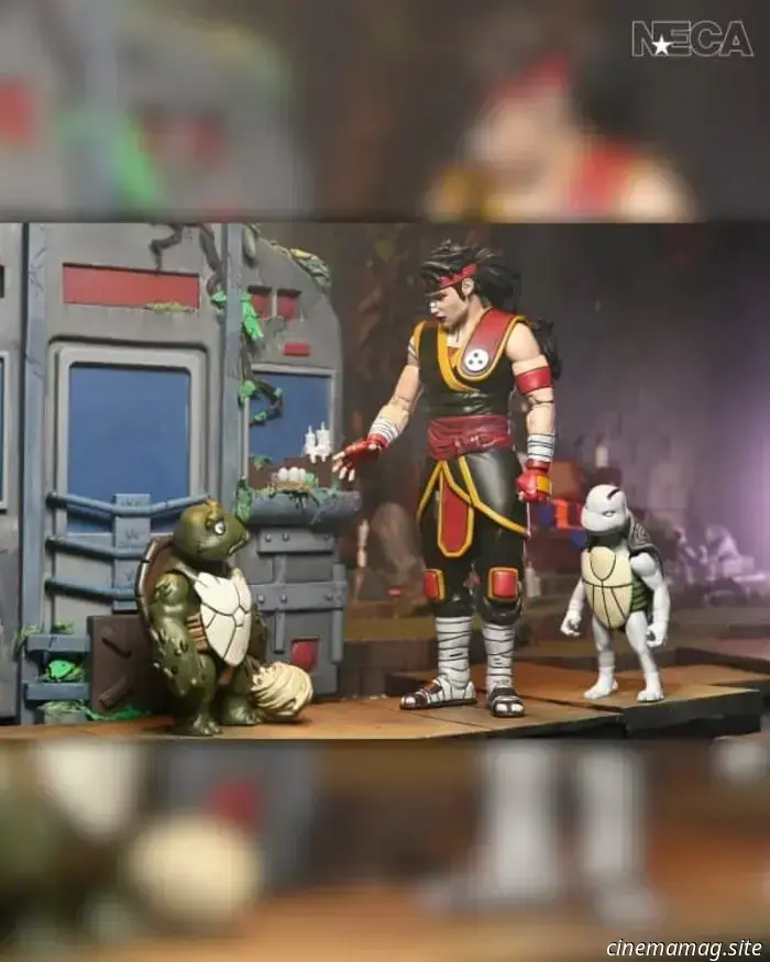 The official unveiling of the Teenage Mutant Ninja Turtles: The Last Ronin - The Lost Years Ultimate Casey Marie Jones action figure has taken place.