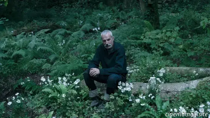 Novità in streaming: Jay Kelly, Reflection in a Dead Diamond, Stranger Eyes, The Family McMullen e altro