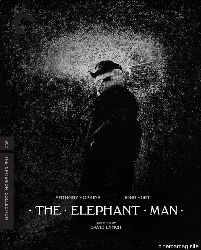 The Criterion Collection’s July lineup includes The Elephant Man, Alice Doesn’t Live Here Anymore, and Mike Mills in 4K.