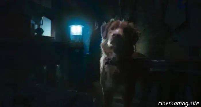 El tráiler de Good Boy sugiere terror desde la perspectiva de un perro.