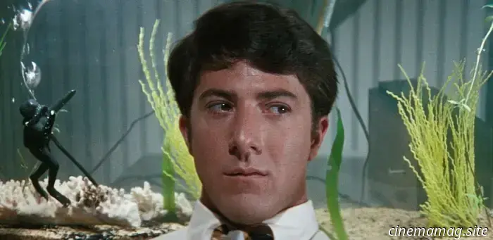 11 Icons of the 1960s Who Are Still Thriving Today