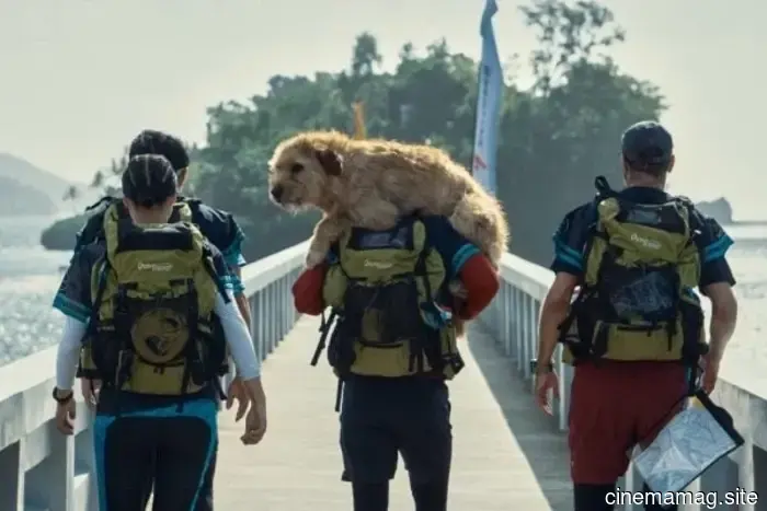 10 Perros de Película que Superaron Odds Imposibles