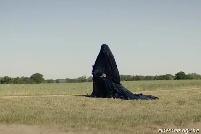 New to Streaming: The History of Sound, Sorry, Baby, Ballad of a Small Player, Hedda, and More