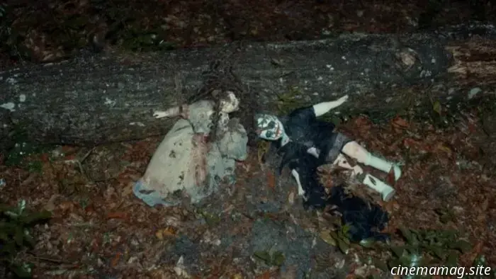 Teaser for the found footage horror film about a home invasion, The Last Cabin.