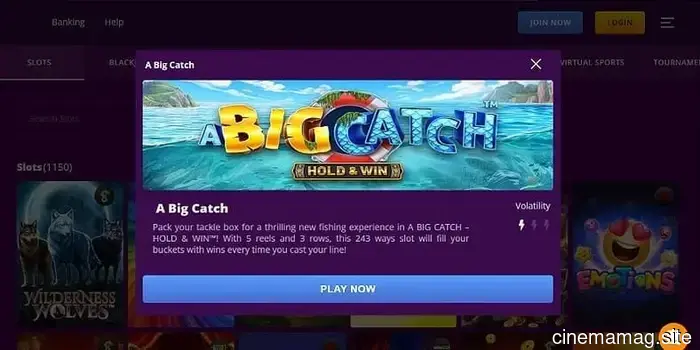 Top Payout Online Casinos 2026: A Review of High RTP Websites