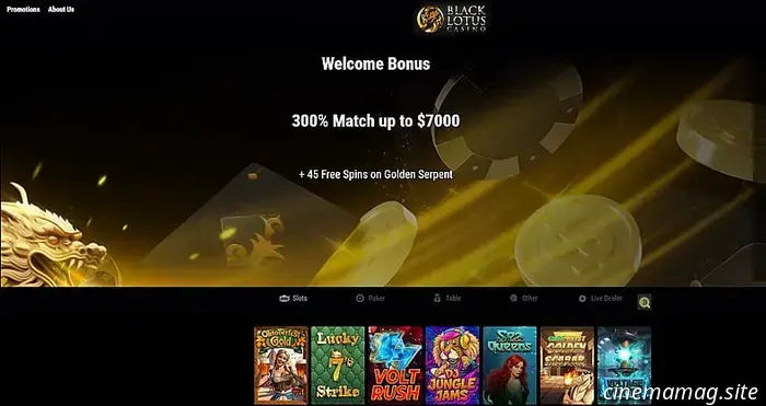 Рекомендуемые онлайн-казино Техаса — 10 приложений казино Техаса, оценённых экспертами