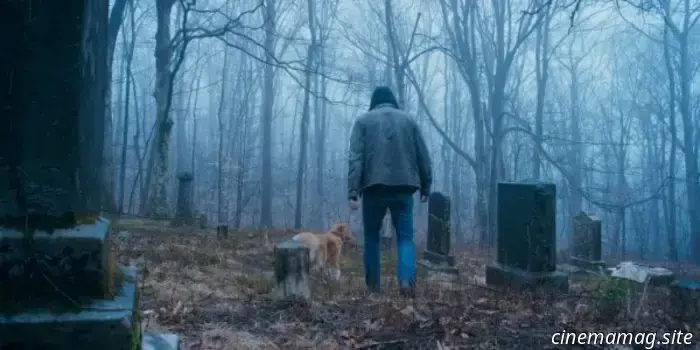 El tráiler de Good Boy sugiere terror desde la perspectiva de un perro.