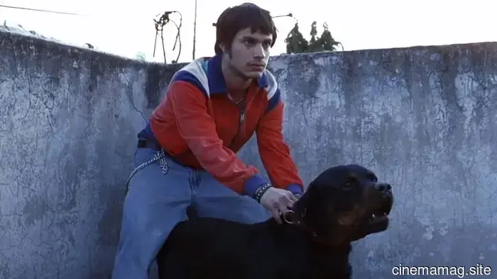 Nuevo en Streaming: Los Furiosos, Fiebre en la Ciudad, Amores Perros, Campamento y Más