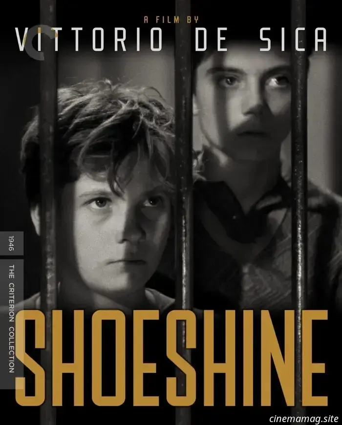 The August lineup from The Criterion Collection features a double feature of Edward Yang films, works by Kon Ichikawa, Compensation, and additional titles.