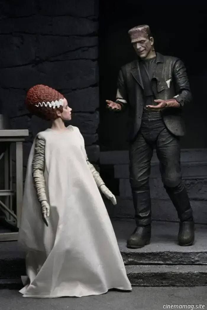 NECA's The Monster and His Mate 2-pack commemorates the 90th anniversary of The Bride of Frankenstein.