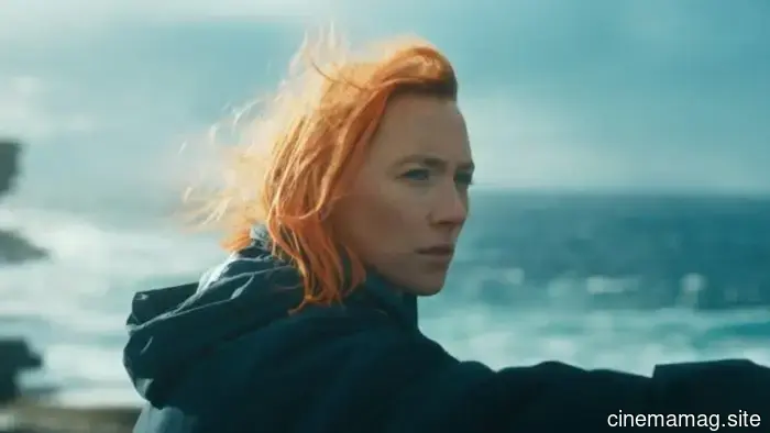 8 Must-See Recent Film Treasures