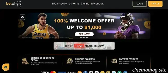 I migliori siti di scommesse sportive negli USA nel 2025.