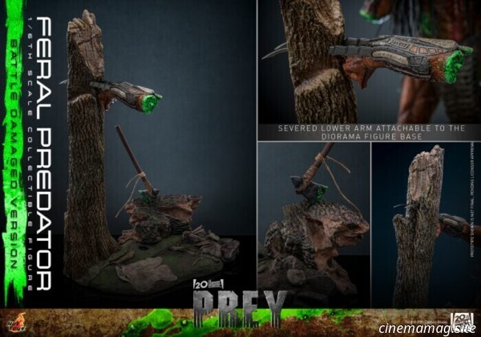 Hot Toys ha svelato l'action figure in scala 1/6 del Feral Predator di Prey (versione con danni da battaglia).