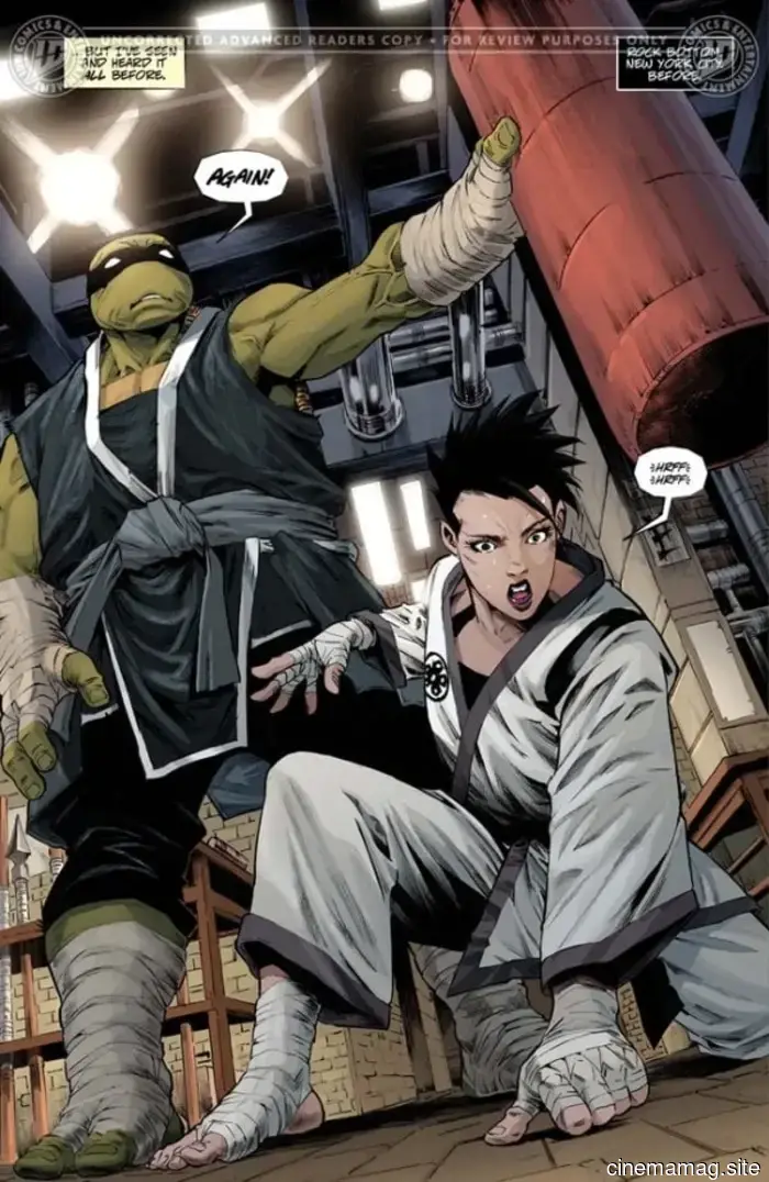 Vista previa del cómic – Tortugas Ninja: El Último Ronin – Día de Entrenamiento #1