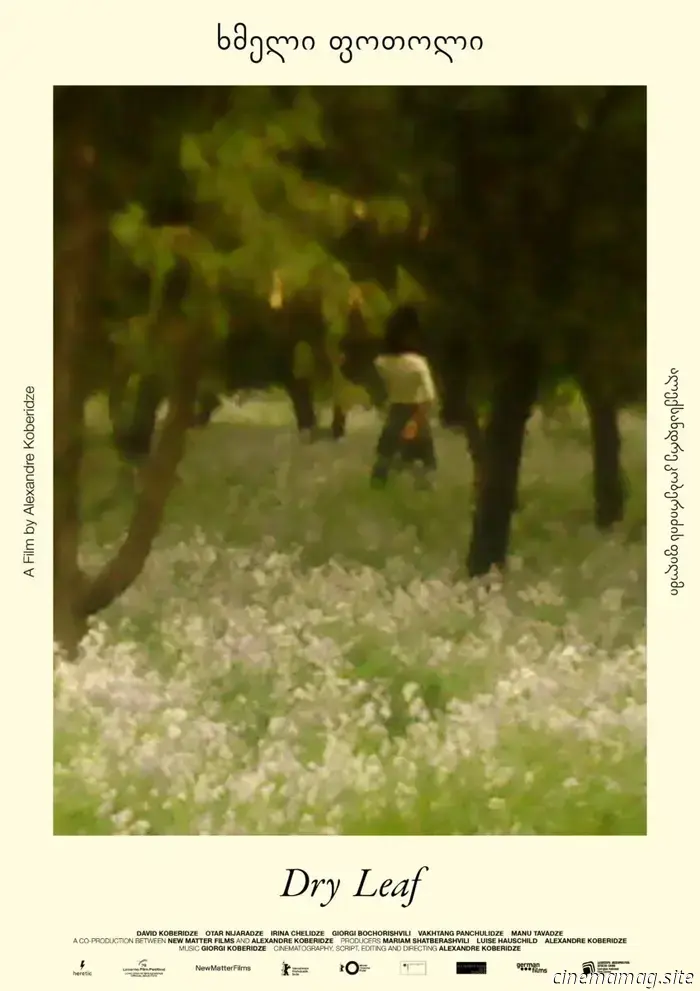 Clip esclusivo dal film di Alexandre Koberidze, debutto al Locarno Sony Ericsson Dry Leaf