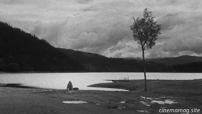 Четыре фильма, которые стоит посмотреть на Таллиннском кинофестивале «Черные ночи» 2025 года