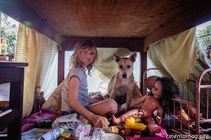 Don't Let's Go to the Dogs Tonight (2025) - Film Review