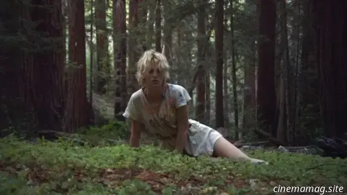 6 Cabin Horror Films You Might Have Overlooked